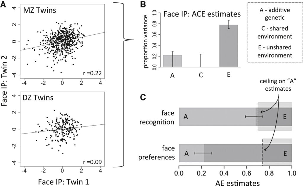 Women don't find Gigachad attractive - Date Psychology